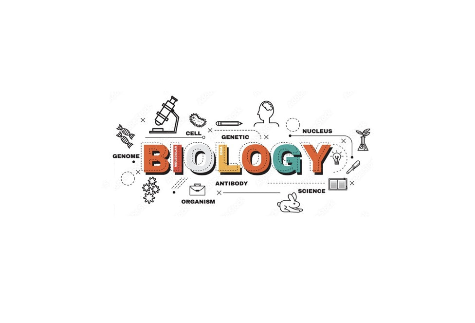 AP/IB Biology Test Prep