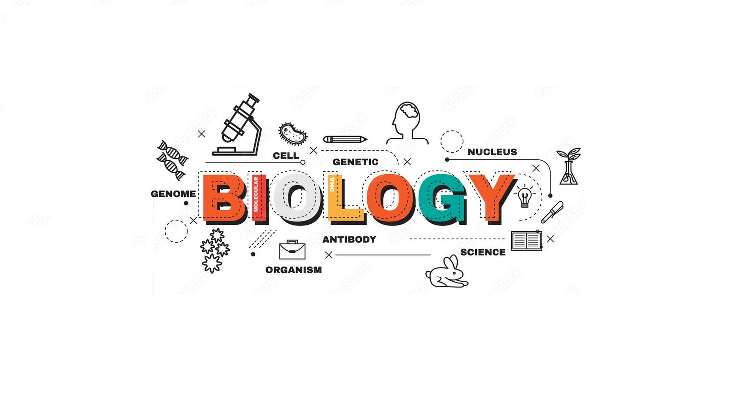 AP/IB Biology Test Prep