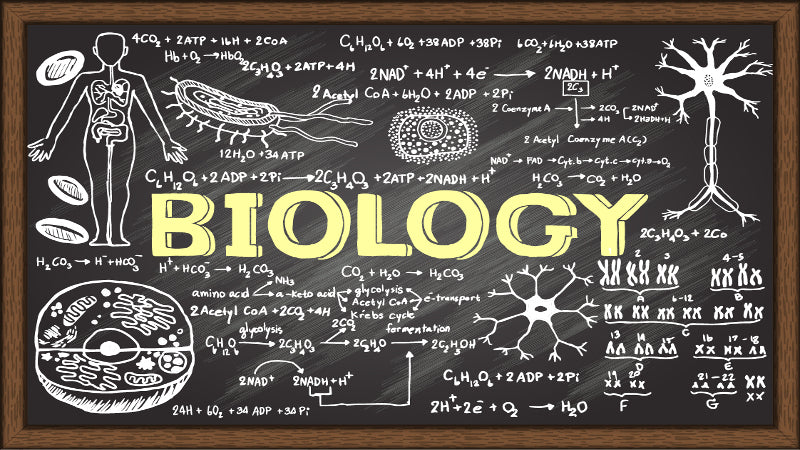 Biology Tutor