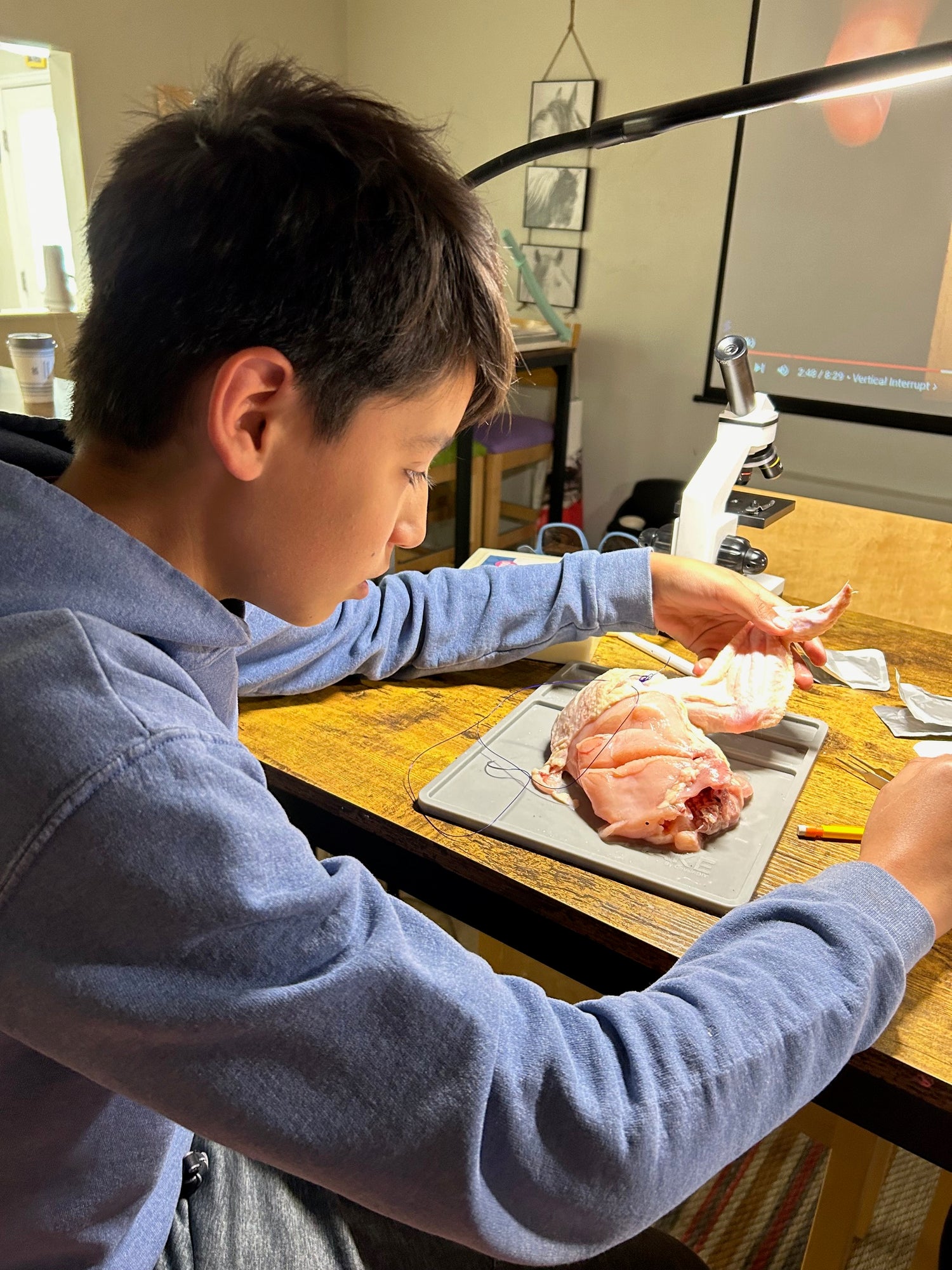 Veterinary Medicine - Half Day