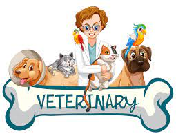 Veterinary Medicine - Half Day