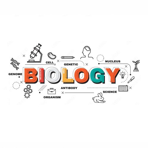 College and High School Biology Tutoring