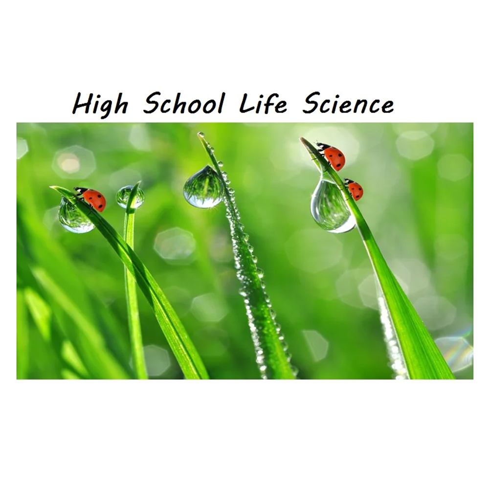 Homeschool STEM Enrichment High School LIFE SCIENCE Ignite The Mind