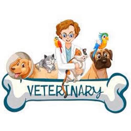 Veterinary Medicine Summer STEAM Camp